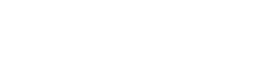 Rescue Bridge